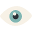 005-eye